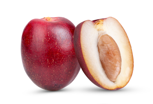 red raw date palm isolated on transparent png