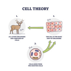 Cell theory for evolution and pre existing cells development outline diagram, transparent background. Labeled educational historic organism transformation progress stages and steps illustration.