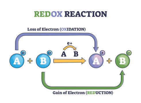 Redox reaction as atoms chemical oxidation states change outline diagram, transparent background. Labeled educational explanation scheme with electron gain and loss in oxidation.