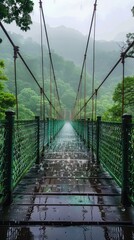 Obraz premium A suspension bridge stretches through a misty, lush forest, surrounded by dense green foliage, creating a serene and mystical atmosphere, evoking adventure and tranquility.