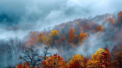 Fototapeta premium During the day heavy clouds hang image