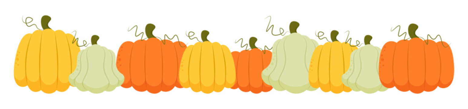 Pumpkin border divider separator autumn fall card decoration flat illustration 