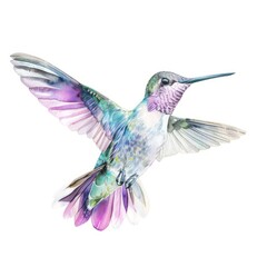 Watercolor painting of a gentle hummingbird in flight, on isolated white background, Generative AI
