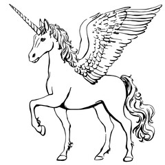 Unicorn line print. Black and white drawing. Unicorn illustration with wings. Monochrome, outline, coloring page