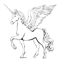 Unicorn line art print. Black and white drawing. Unicorn illustration with wings. Monochrome, outline, coloring page