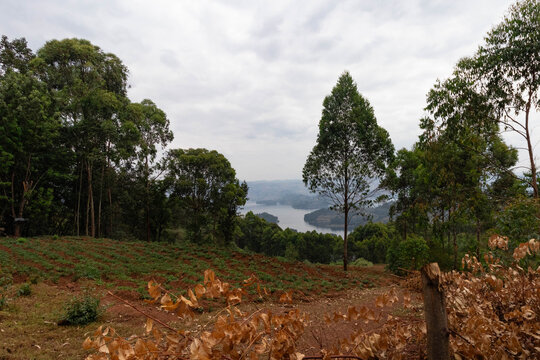 Landscape across southwestern uganda