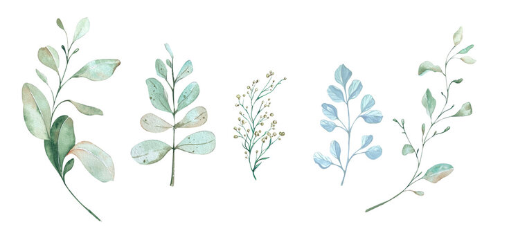 Set Delicate Eucalyptus Branches and Herbs. Watercolor Illustration in Blue Turquoise Tones. Design Elements for Cards, Invitations, Flyers, Posters, Home Textiles, Stationery