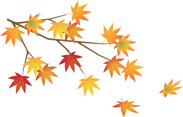 紅葉したモミジのイラスト