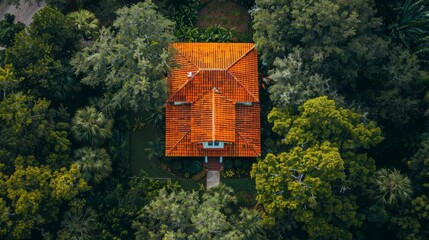 house villa with an orange roof, palms, pool, 16:9