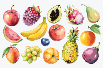 Watercolor varieties Fruit set Vector