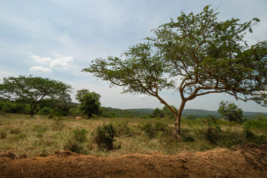Landscape across southwestern uganda