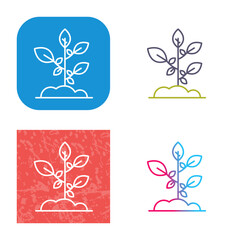 Sprout Icon Design