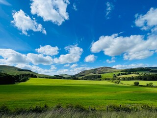 field and blue sky