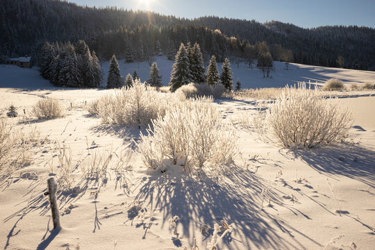 Paysage de neige dans le Jura, France