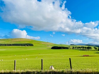 field and sky