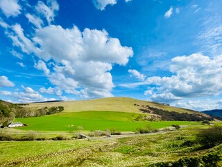 field and blue sky