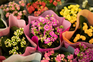 Flowers in a package. Sale of bouquets of flowers. Small plants.