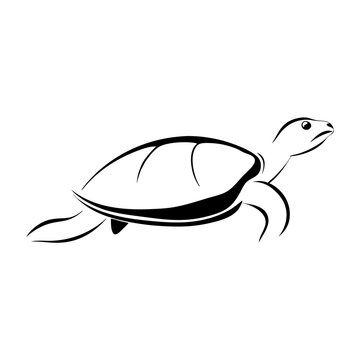 recommend clip art: black line art illustration of turtle gracefully swimming, plain background