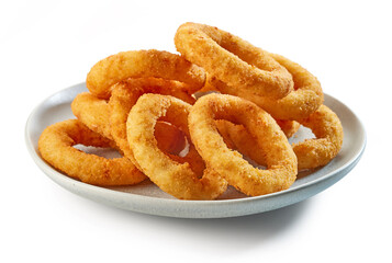 fried onion rings