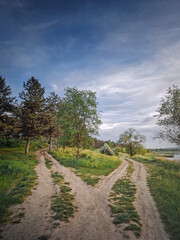 Split country road scene. Crossroad concept choosing the way. Idyllic summer rural landscape and two dirt tracks in the nature leading to the forest and the lake