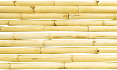 bamboo stalks on a white background with clipping path