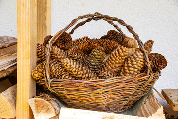 A wicker basket full of large classic spruce cones on a pile of wood