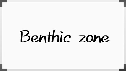 Benthic zone のホワイトボード風イラスト