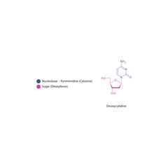 Deoxycytidine skeletal structure schematic illustration, Nucleoside molecule.