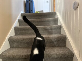 staircase in the hotel