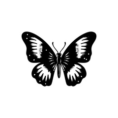 a design with silhouette art, a picture of a black butterfly