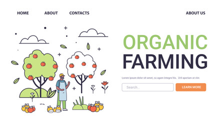 Organic farming concept with farmer harvesting apples trees fruits sustainable agriculture garden minimalistic style line art
