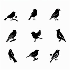 Bird icon set, black and white sparrow symbols, bird sign collection, wild animal pictograms on white