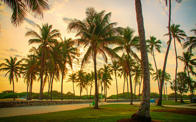 Lummus Park   Miami Beach   