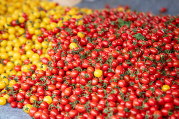 Fresh fruit cherry tomatoes