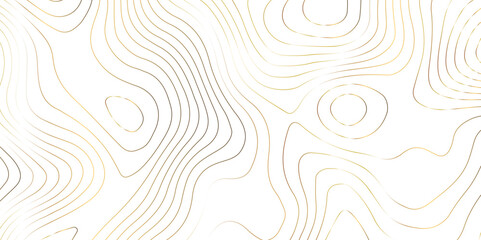 Fototapeta premium Topography golden wave line contour map background design. white background and golden line background. modern design Imitation geographical map vector illustration.
