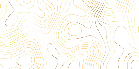 Topography golden wave line contour map background design. white background and golden line background. modern design Imitation geographical map vector illustration.