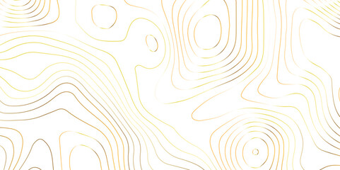 Topography golden wave line contour map background design. white background and golden line background. modern design Imitation geographical map vector illustration.