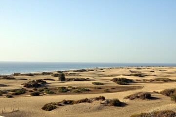 Dünen von Maspalomas auf Gran Canaria