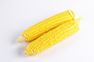 Sweet yellow raw corn cob