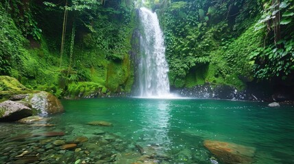 Obraz premium A majestic waterfall plunging into a crystal-clear pool surrounded by lush greenery