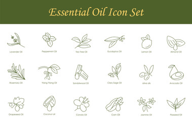 Complete Essential Oils Vector Icons: Lavender, Peppermint, Tea Tree, Eucalyptus, Lemon, Almond, Grape Seed, Canola, Jasmine, Rosemary, Ylang Ylang, Sandalwood, Clary Sage, Olive, Avocado, Coconut, Co