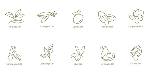 Comprehensive Essential Oils Vector Icons: Tea Tree, Eucalyptus, Lemon, Almond, Grape Seed, Sandalwood, Kale Seed, Olive, Avocado, Coconut