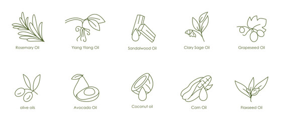 Herbal and Nourishing Oils Vector Icons: Rosemary, Ylang Ylang, Sandalwood, Clary Sage, Grape Seed, Olive, Avocado, Coconut, Corn, Flaxseed