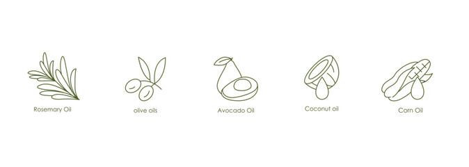 Essential Oils Vector Icons: Rosemary, Olive, Avocado, Coconut, Corn