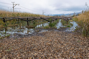A vineyard near De Doorns, South Africa, flooded after heavy rains