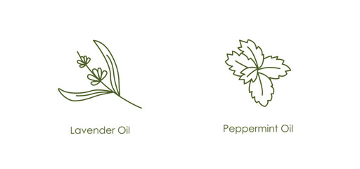 Relaxing Lavender, Peppermint Oil Vector Icons