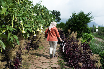 person working in the garden