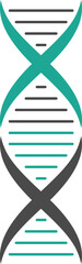DNA Strand Icon