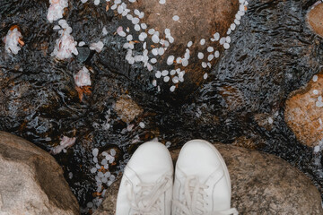 벚꽃잎이 흐르는 개울가