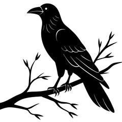 Black crow on a tree branch. Vector illustration isolated silhouette with white Background.